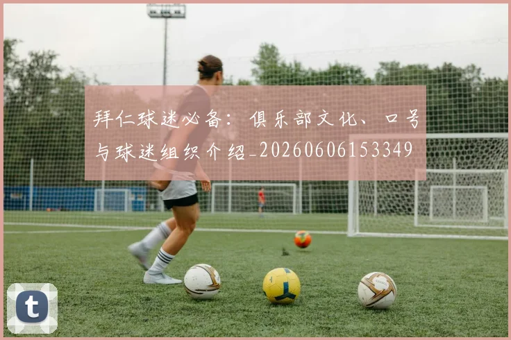 拜仁球迷必备:俱乐部文化、口号与球迷组织介绍_20260606153349